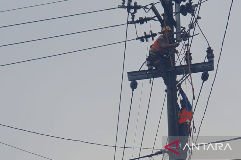 Petugas memperbaikan jaringan PLN Putus di Jalan Raya Desa Teja Timur, Pamekasan, Selasa, akibat disambar petir. (ANTARA/Abd. Aziz) - Image