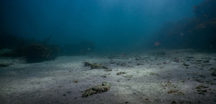 Bangkai kapal Montevideo Maru ditemukan autonomous underwater vehicle (AUV) di kedalaman lebih dari 4 ribu meter atau 13.123 kaki di bawah permukaan air laut. - Image