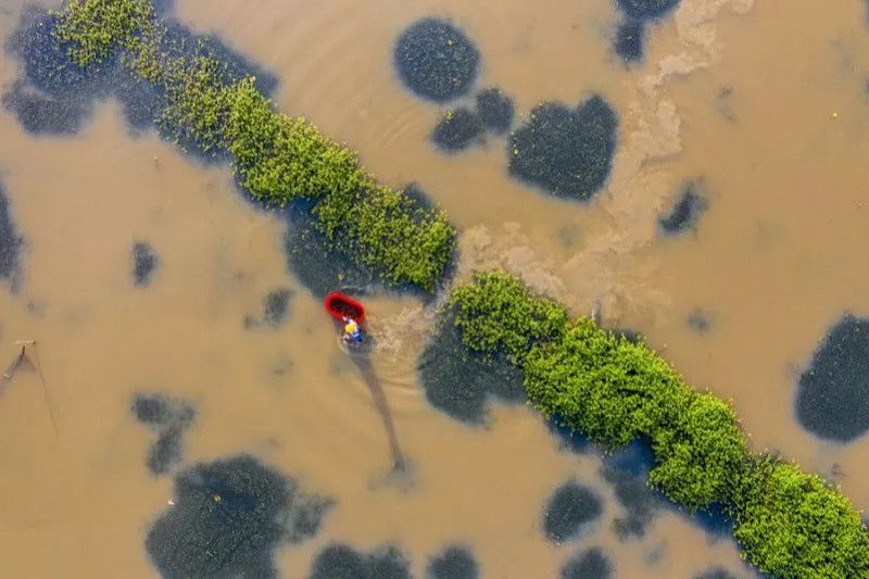 Banjir terjadi di sejumlah daerah kawasan Provinsi Jiangxi, Tiongkok timur akibat hujan deras. (ANTARA/Xinhua) - Image