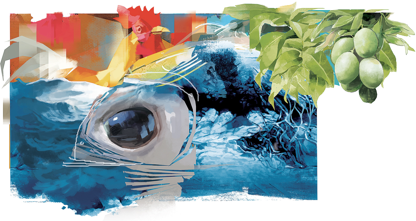 ILUSTRASI - Image