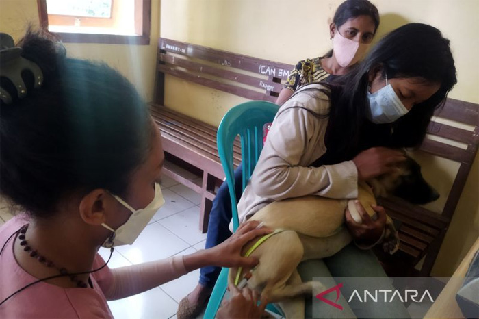 Arsip Foto - Petugas memberikan suntikan vaksin anti-rabies pada anjing peliharaan warga di Nusa Tenggara Timur. (ANTARA) - Image