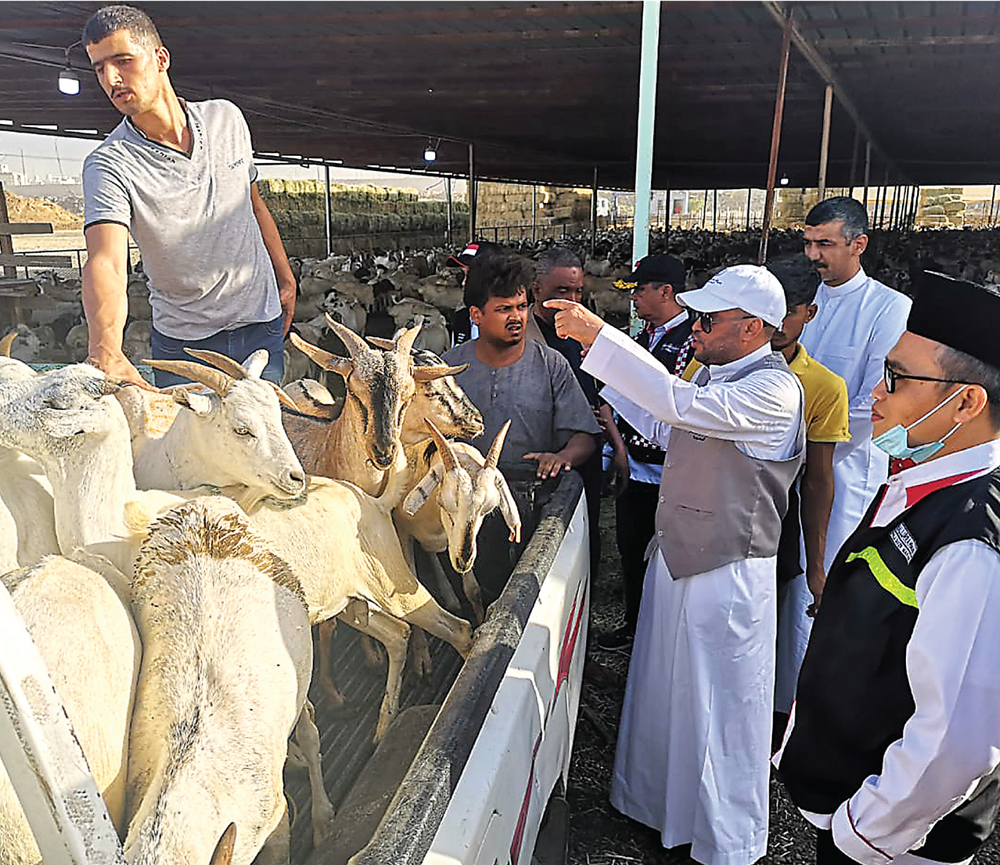 REPRESENTATIF: Kepala Daerah Kerja (Daker) Makkah Khaliurahman (kanan) membeli kambing di Al Ukaishiyah untuk menjajal proses penyembelihan. - Image