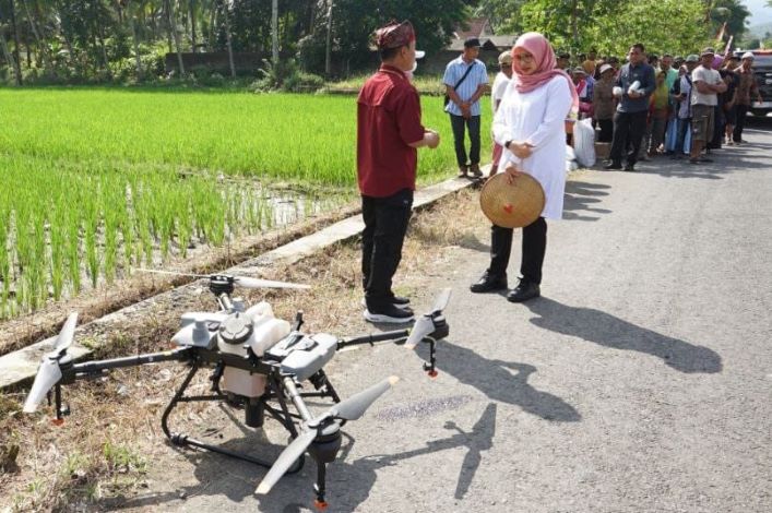 Bupati Banyuwangi Ipuk Fiestiandani melihat langsung penerapan smart farming saat program Bupati Ngantor di Desa (Bunga Desa) di Desa Desa Kandangan, Kecamatan Pesanggaran. - Image