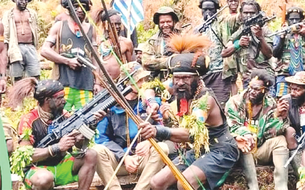 TEKA-TEKI: Pilot Susi Air Philip Mehrtens belum jelas akan dilepas kelompok pimpinan Egianus Kogoya. - Image