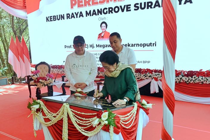 Ketua Dewan Pengarah BRIN Megawati Soekarnoputri resmikan Kebun Raya Mangrove Surabaya, Rabu (26/7). - Image
