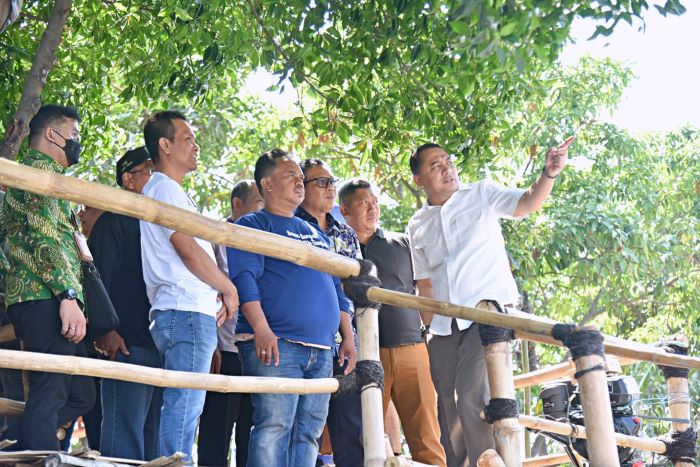 Wali Kota Eri Cahyadi resmikan Wisata Susur Sungai Kejawan Putih Tambak, Surabaya, Kamis (27/7). - Image