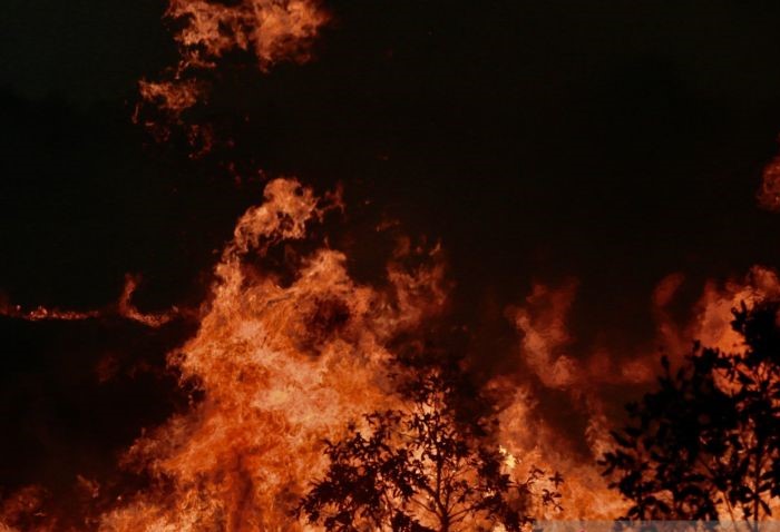 Kobaran api akibat kebakaran hutan dan lahan di Kelurahan Landasan Ulin Selatan, Kecamatan Liang Anggang, Kota Banjarbaru, Kalimantan Selatan, Kamis (3/8). - Image
