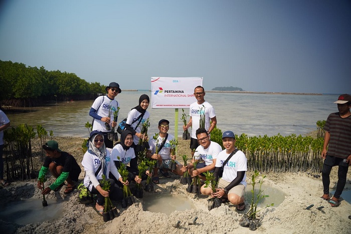Para Perwira muda Sub Holding Integrated Marine Logistics (SH IML) PT Pertamina International Shipping (PIS) melakukan penanaman mangrove dan terumbu karang. - Image
