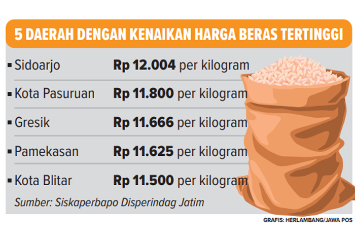 Photo - Image