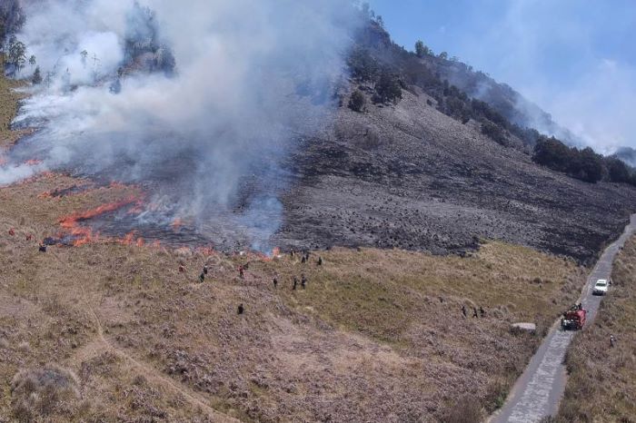 Personel gabungan Balai Besar Taman Nasional Bromo Tengger Semeru (BB TNBTS) melakukan pemadaman api di area savana, di wilayah Kabupaten Malang, Rabu (30/8).