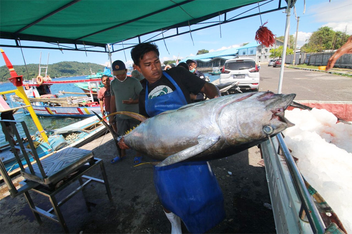 Harmad Sanimu (40) membeli ikan tangkapan nelayan di Kabupaten Buru untuk dipasarkan di sejumlah wilayah. LPMUKP turut membantu permodalan Harmad dalam mengembangkan usahanya. - Image