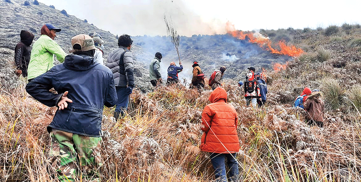 AKIBAT ULAH MANUSIA: Pemadaman api di Lembah Watangan atau Bukit Teletubbies di desa Ngadirejo, Sukapura, Probolinggo, kemarin (7/9). - Image