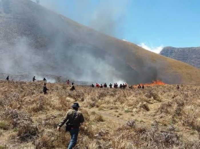 Petugas gabungan masih berupaya keras memadamkan kebakaran di Bukit Teletubbies Gunung Bromo. - Image