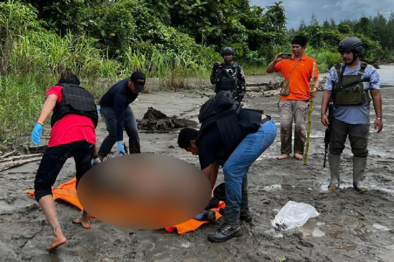 Anggota TNI-Polri mengevakuasi lima jenazah diduga anggota KKB yang tewas saat kontak tembak, Kamis (14/9). - Image