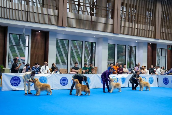 Perkin Jaya gelar kontes anjing Perkin Jaya All Breed Dog Show 2023 di Jeep Station Indonesia (JSI) Resort, Bogor, 16-17 September. - Image