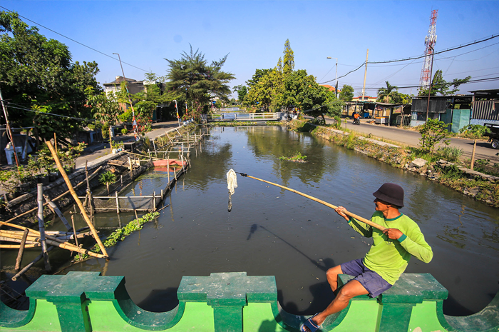 BERTAHAP: Sugianto membersihkan sampah di sungai pelayaran Desa Tawangsari, Kecamatan Taman, Sidoarjo, kemarin. - Image