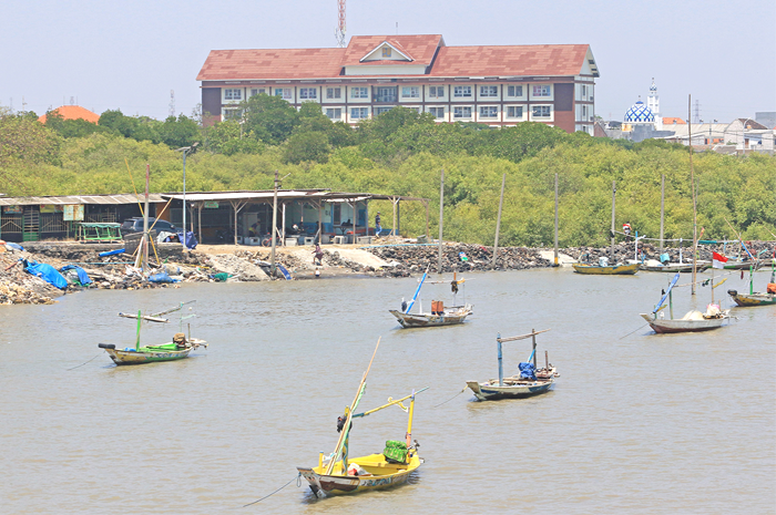 BUFFER ZONE: Potret kawasan pesisir dengan tanaman mangrove di kawasan Tambak Wedi. Untuk pencegahan intrusi air laut, Pemkot Surabaya harus banyak melakukan perluasan penanaman mangrove. - Image