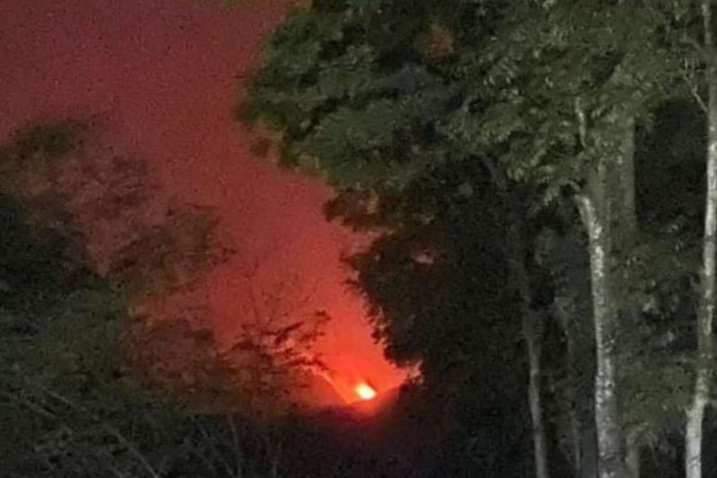 Kebakaran hutan dan lahan (karhutla) di lereng Pegunungan Argopuro. (ANTARA) - Image