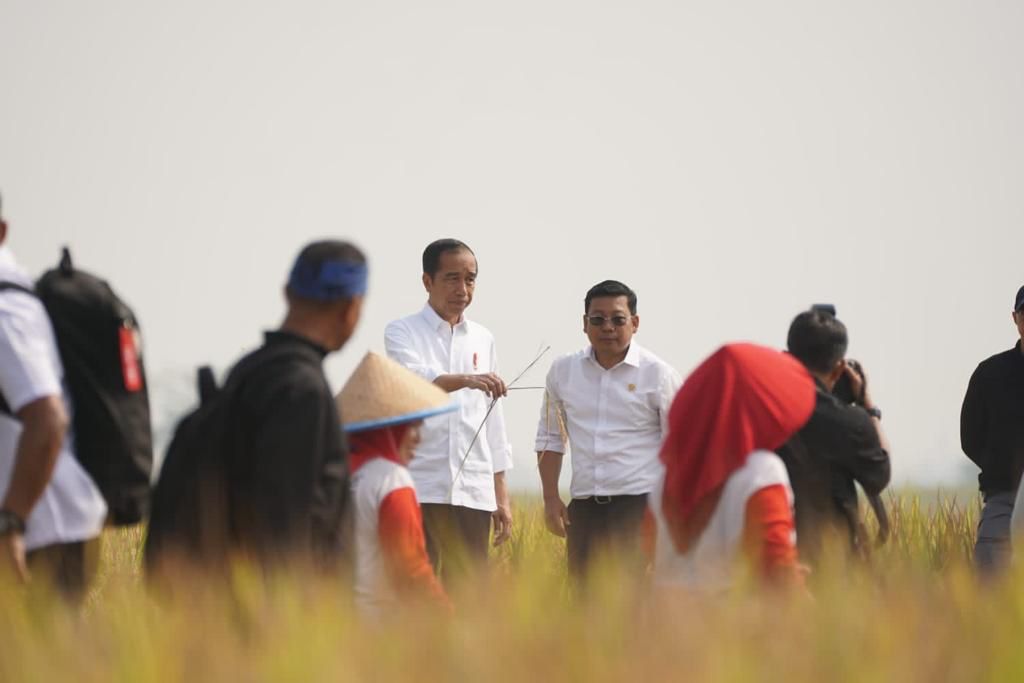 Presiden Jokowi dan Plt. Menteri Pertanian Arief Prasetyo Adi saat panen padi di Subang, Jawa Barat, Minggu (8/10). (Istimewa) - Image