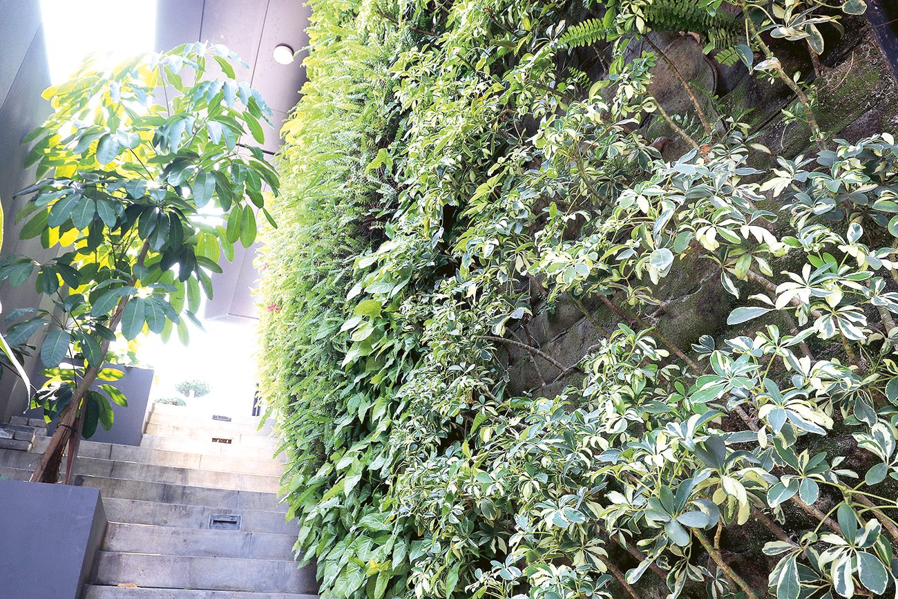 PERHATIKAN KOMBINASI WARNA TANAMAN: Salah satu vertical garden karya Atek Wiyono. Pilih tanaman yang merambat dan penyiram otomatis agar tanaman berkembang dengan baik. - Image