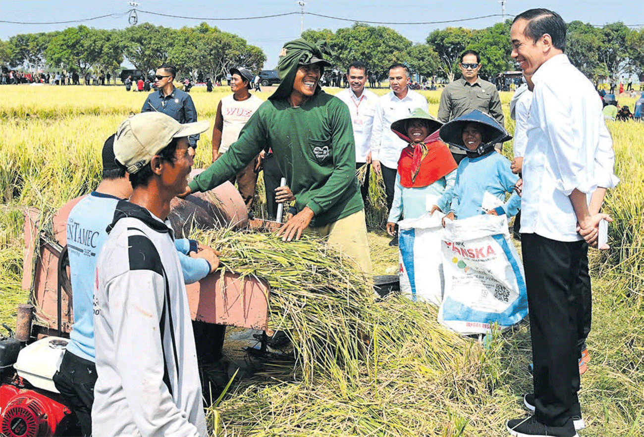 DEKAT: Presiden Joko Widodo berbincang dengan para petani gabah di Kecamatan Sukra, Kabupaten Indramayu, Jawa Barat, Jumat (13/10). - Image
