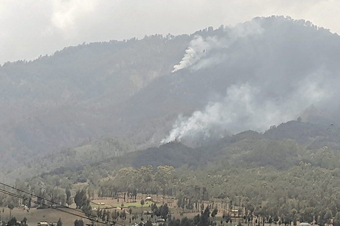 MENGEPUL: Kebakaran kembali terjadi di area jalur pendakian Semeru. Dua titik kepulan asap terlihat dari arah permukiman penduduk. - Image