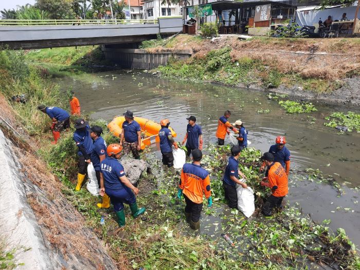 Tim Gabungan BPBD Jatim bersih-bersih Sungai Pucang Sidoarjo di Desa Pagerwojo, Kecamatan Buduran, Rabu (15/11). - Image
