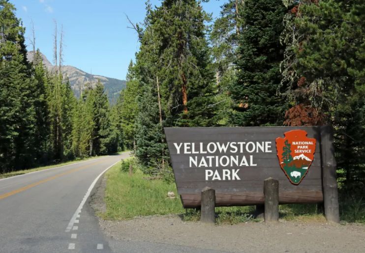 Petugas menghimbau agar masyarakat tidak melakukan kontak dengan hewan di Taman Nasional Yellowstone. - Image