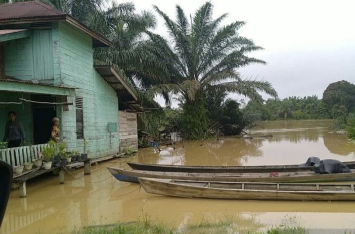 Banjir di permukiman warga Sahilan Darussalam, Kampar Kiri, Kabupaten Kampar akibat luapan Sungai Kampar. - Image