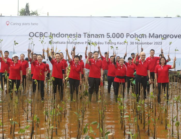 OCBC Indonesia, Mangrove Jakarta Community, dan Pemprov DKI Jakarta tanam 5.000 pohon mangrove di Ekowisata Mangrove PIK dan Pulau Tidung Kecil. - Image