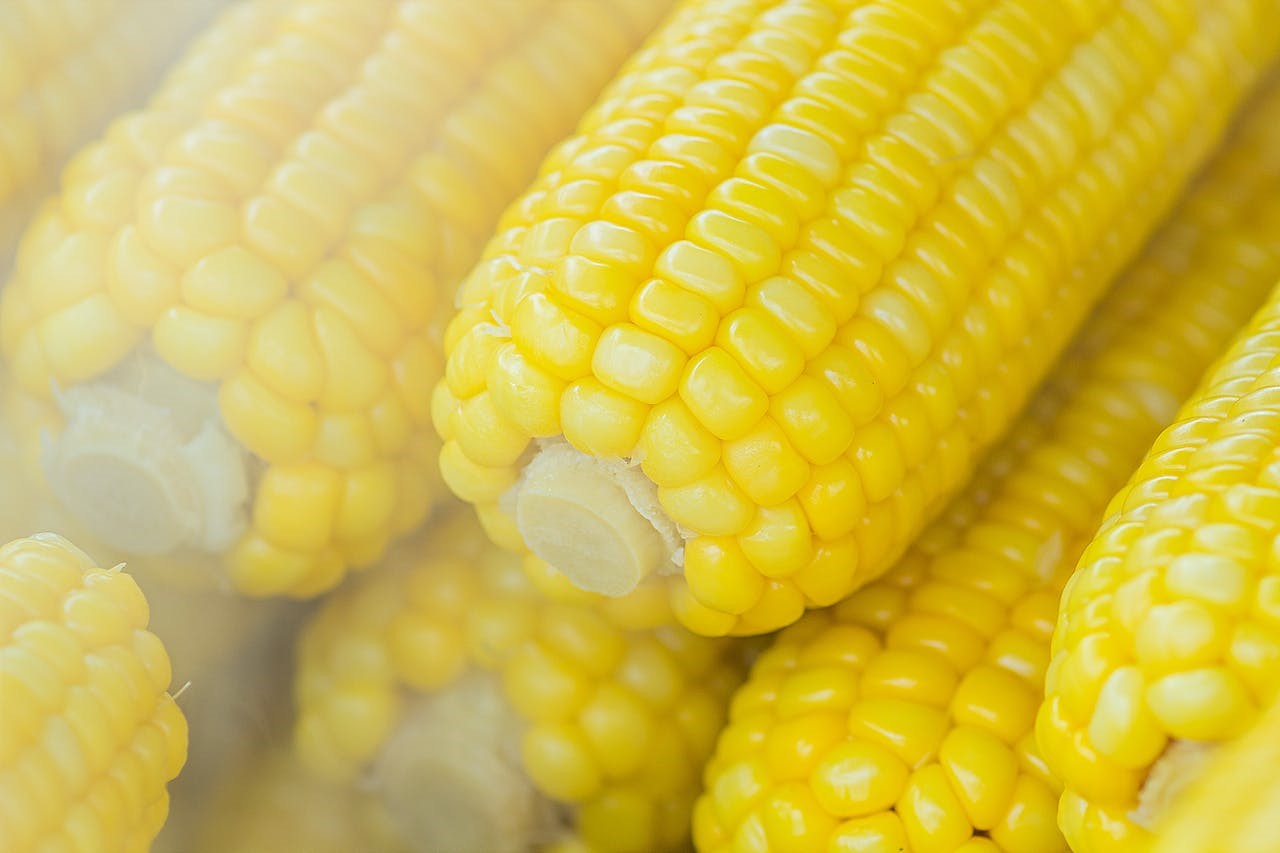ilustrasi jagung. Sumber foto: Pexels - Image