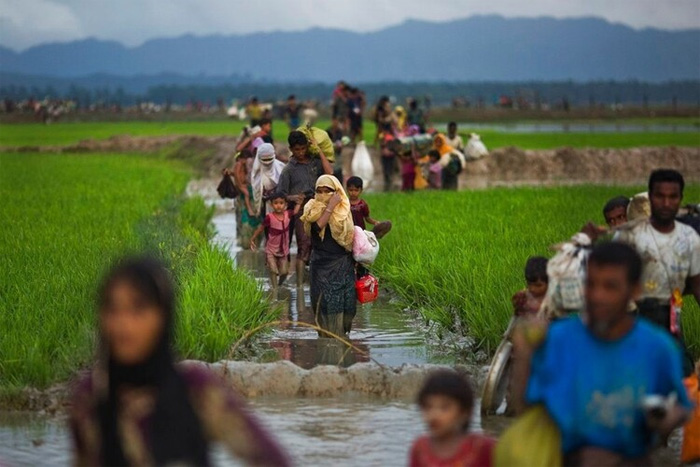 Potret Pegungsi Rohingya. / Sumber: (Human Right Watch) - Image