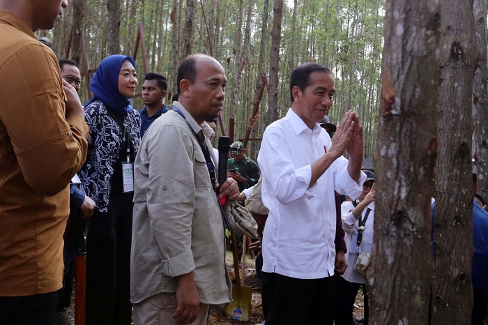 Miniatur Hutan Hujan Tropis Nusantara (MHHT) hasil kolaborasi Otorita IKN, PT Tirta Investama dan para mitra ini terletak di Kawasan Inti Pusat Pemerintah (KIPP). - Image