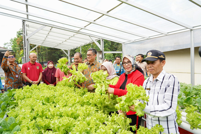 Penjabat Wali Kota Pangkalpinang, Lusje Anneke Tabalujan panen sayuran metode hidroponik Kelompok Wanita Tani Kemuning di Kebun KWT Kemuning Kecamatan Girimaya, Jumat (29/12/2023). - Image