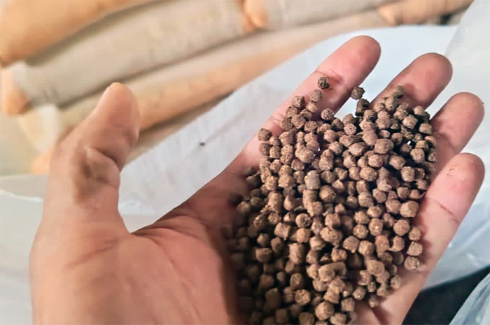 Koperasi Produsen Mina Mitra Mandiri mendapatkan dukungan pembiayaan melalui dana bergulir dari BLU LPMUKP, salah satunya digunakan untuk pengembangan produksi pakan ikan anggota koperasi. - Image