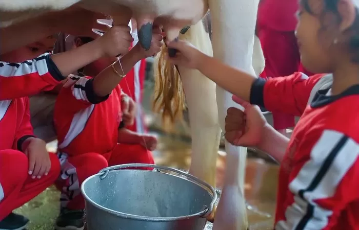 Sejumlah anak sedang belajar memerah susu saat berwisata ke Kampung Susu Dinasty Tulungagung. ./Instagram @kampungsusu - Image