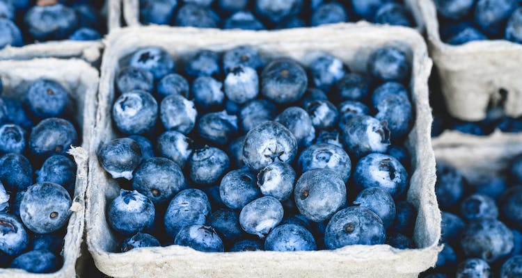 Ilustrasi - Acai Berry. - Image