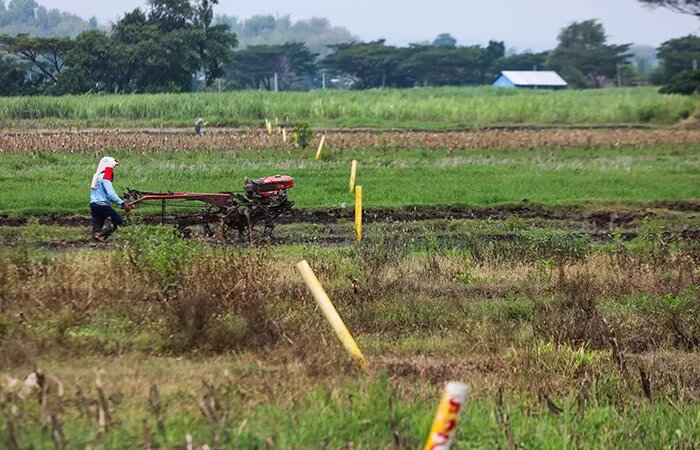 pembebasan lahan terdampak Tol Kediri-Tulungagung (Ki Agung) memasuki tahap ke-2./Radar Kediri - Image