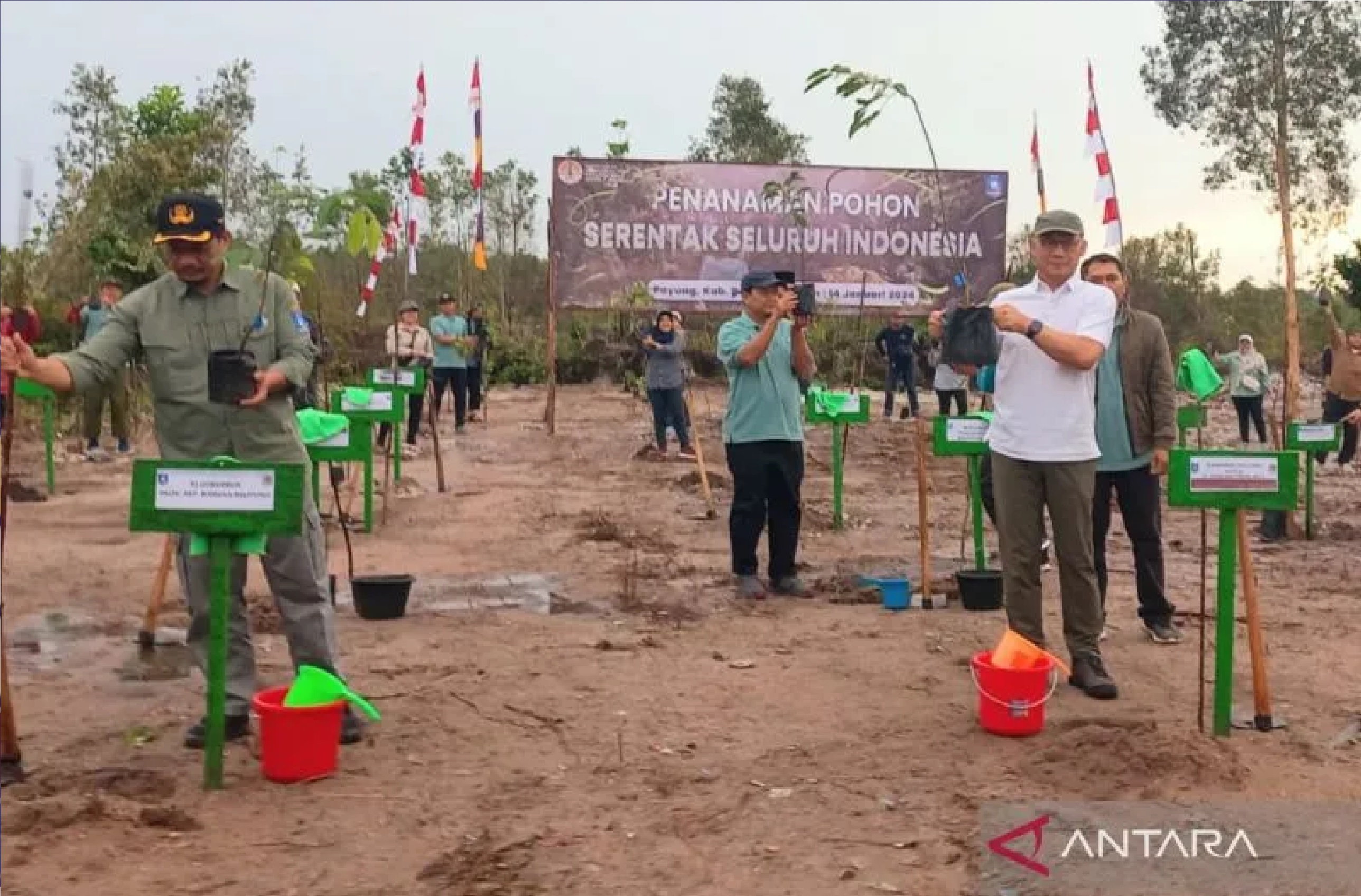 KLHK bersama BPDASHL Batu Cerucuk Babel melakukan penanaman bibit buah di lahan kritis yang berlokasi di Desa Payung, Kabupaten Bangka Selatan, Minggu (14/1/2024). (ANTARA/ Elza Elvia) - Image