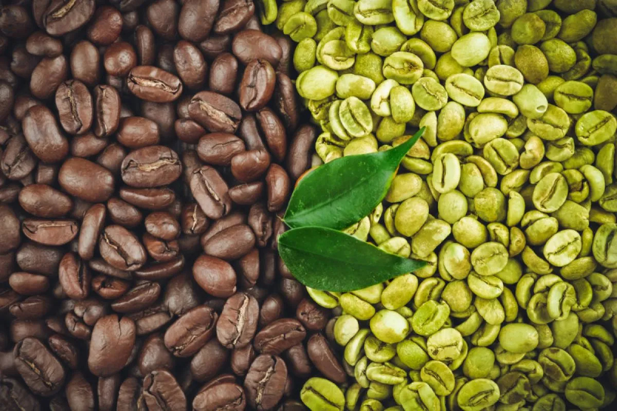 Biji kopi hitam dan hijau. - Image