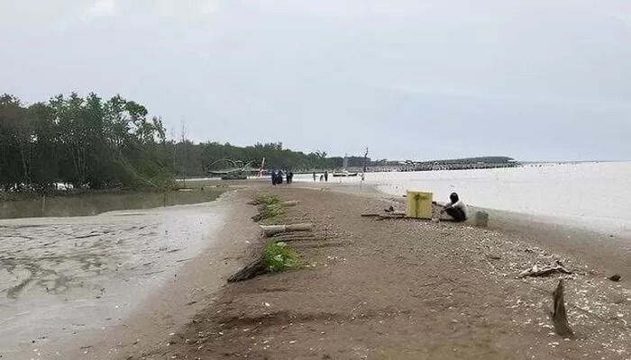 Potret Pulau Arnavat yang baru ditemukan di Kabupaten Demak. - Image