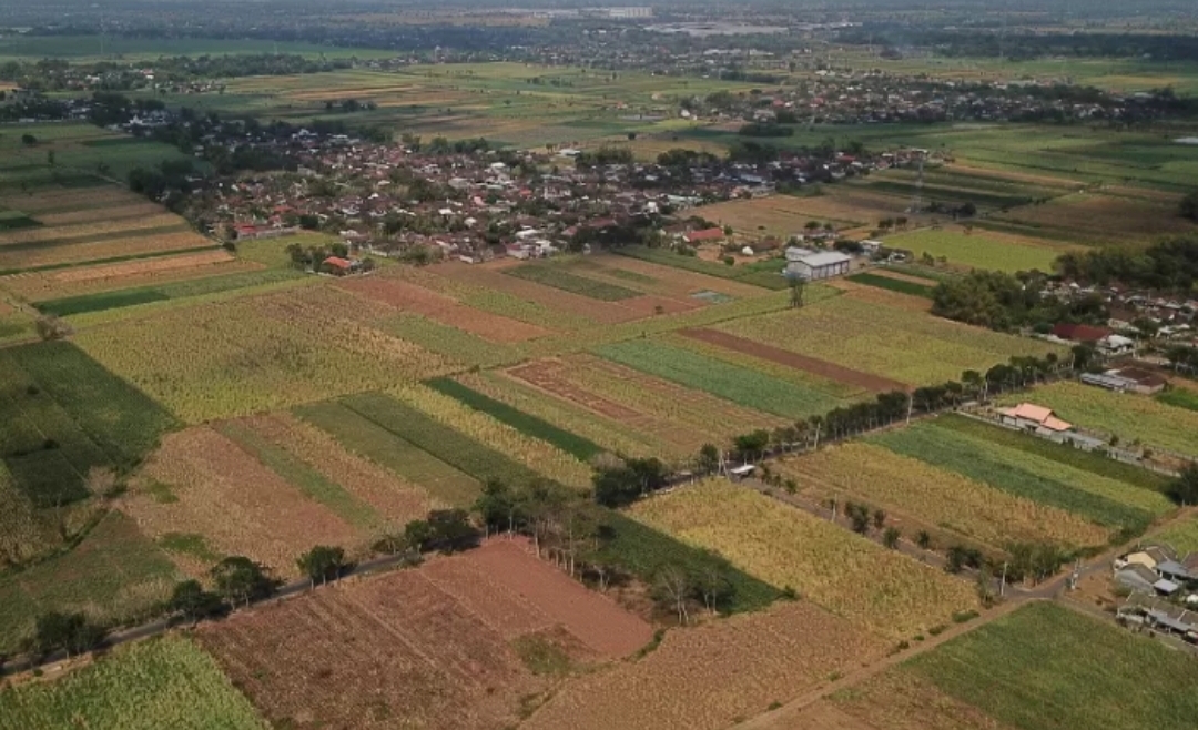 Lahan yang rencananya akan digunakan untuk membangun Tol Kediri-Kertosono - Image