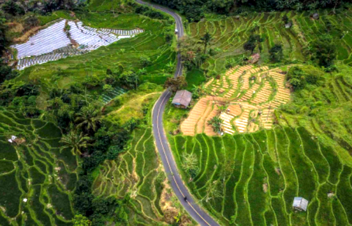 Pemandangan Pansela di sekitar Jalan Raya Ciwidey-Naringgul, Kabupaten Cianjur. - Image