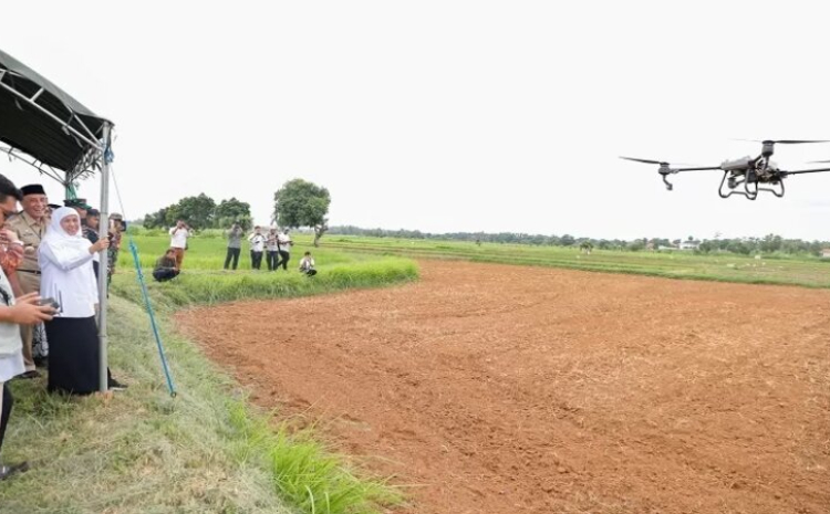 Gubernur Khofifah mengawal penanaman kedelai menggunakan drone di Bangkalan, Rabu (24/1). (IST/Radar Surabaya) - Image