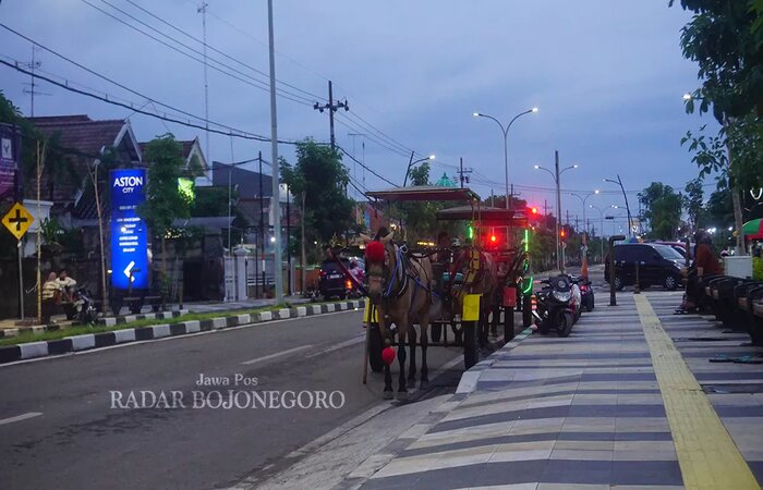 Lampu PJU menerangi salah satu jalan protokol di Bojonegoro. Tahun lalu dianggarkan Rp 30,4 miliar. (YUAN EDO/RADAR BOJONEGORO) - Image