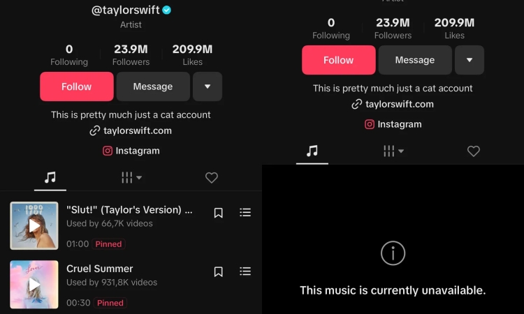 Lagu-lagu Taylor Swift hilang dari TikTok. - Image