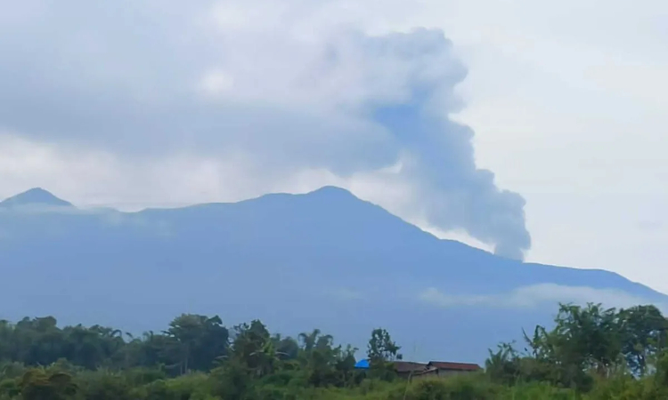 Gunung Marapi saat mengalami erupsi dan tercatat dua kali mengeluarkan letusan Kamis (8/2) pagi dengan ketinggian abu masing-masing 500 meter dan 700 meter dari atas puncak. (Altas Maulana/Antara) - Image
