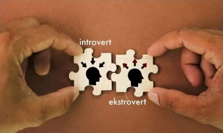 Ambivert, perpaduan antara ekstrovert dan introvert (freepik) - Image