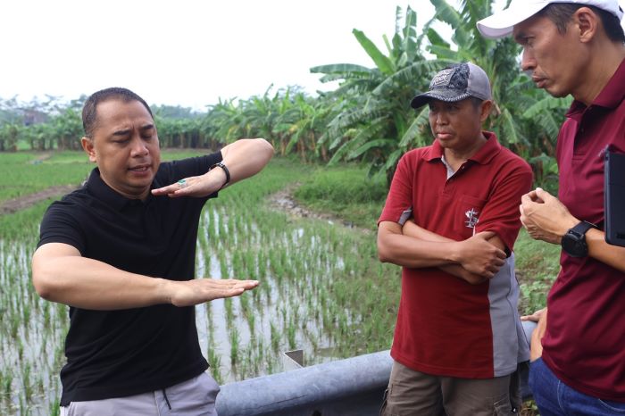 Wali Kota Eri Cahyadi bersama jajarannya meninjau kawasan Jalan Tengger Raya, Benowo, yang sempat tergenang. - Image
