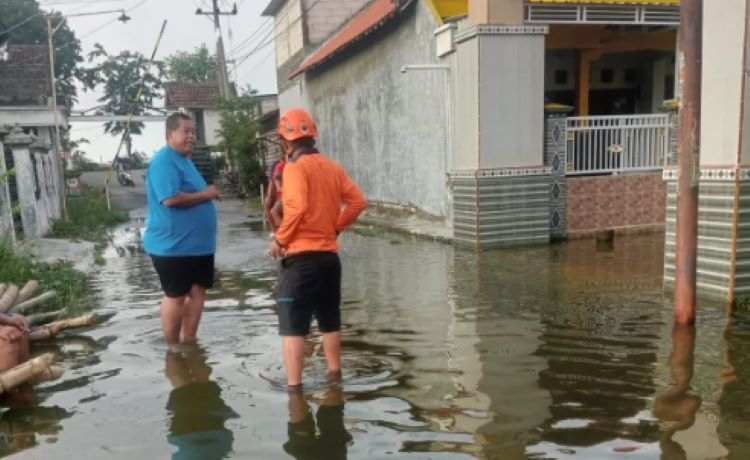 MEMANTAU: Petugas BPBD Gresik saat memantau ke lokasi Banjir, Desa Pandu, Kecamatan Cerme. (Dok/Radar Gresik) - Image